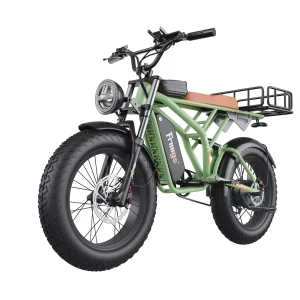 Free mail F2 pro 1400W 48V 22.5Ah 50-80km 7 Speed 20 Inch Fat Tire Electric Bike